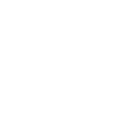 ssdf2021